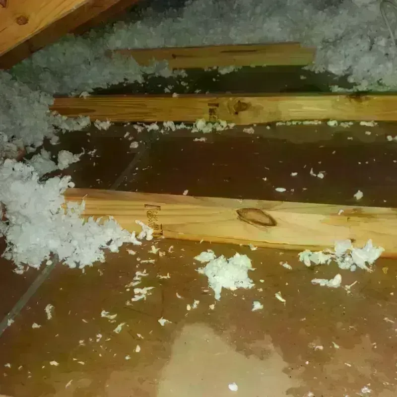 Attic Water Damage in Branch, MN