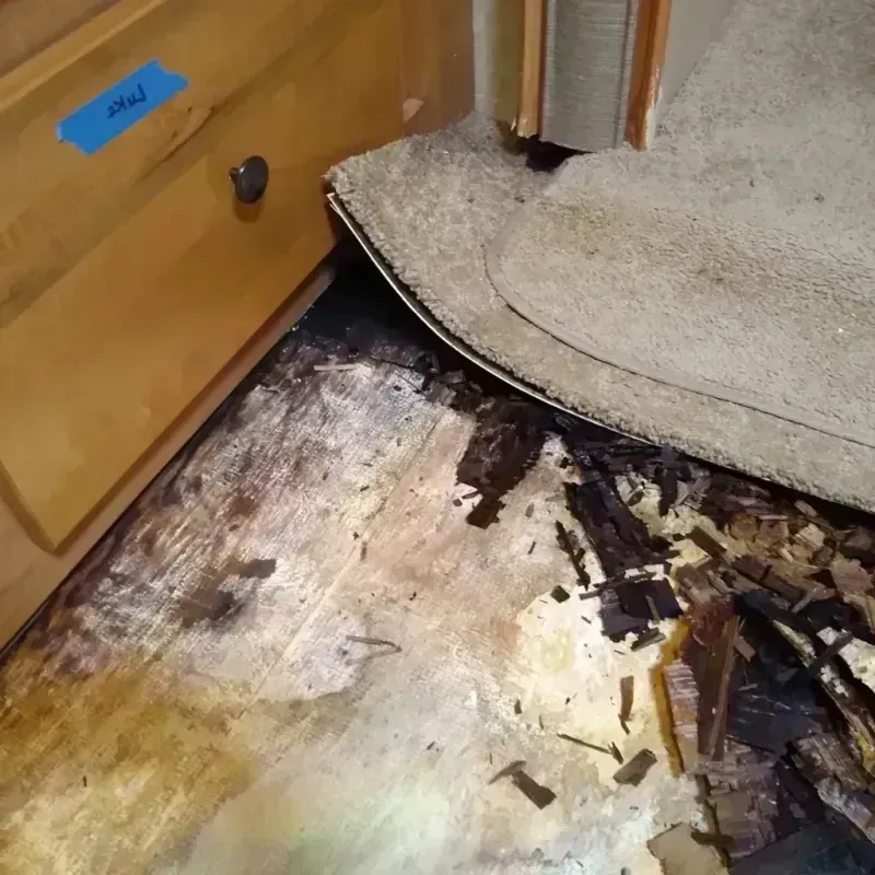 Wood Floor Water Damage in Branch, MN